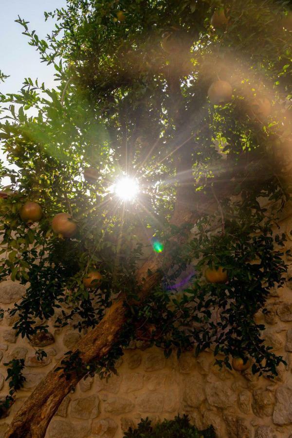 Yesil Ev Cafe & Boutique Hotel HATAY Exteriör bild